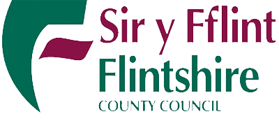 Flintshie County Council Fire Alarm Systems